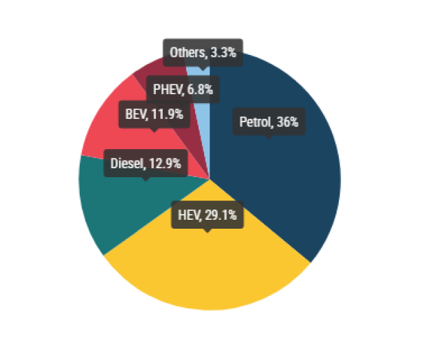 Auto's Europa: nieuwe registraties +13,7% April EV's +11,9% - visie - BMW