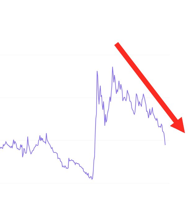 Crypto: memecoin dominantie neemt af - wat betekent dit