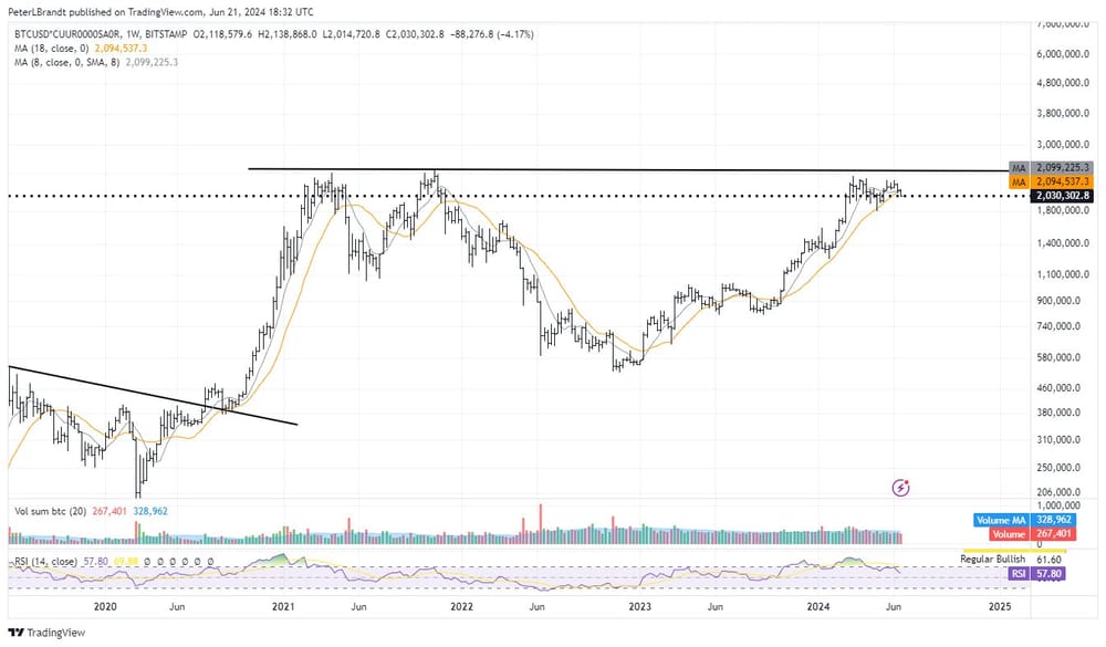 Crypto: inflatie-gecorrigeerde prijs Bitcoin blijft achter - Peter Brandt