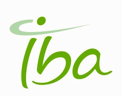 IBA en WE International investeren in groeibriljant: Strategische zet SiC